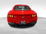 Used 2024 Ford Mustang Coupe image 5