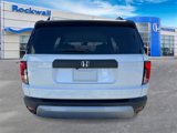 New 2026 Honda Passport RTL image 4