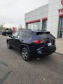 New 2025 Toyota RAV4 SE image 3
