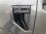 New 2025 Ford F150 XLT w/ Equipment Group 302A MID image 2