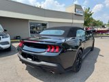 Used 2024 Ford Mustang GT Premium w/ Mustang Nite Pony Package image 5