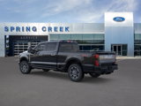 New 2025 Ford F250 Platinum image 4