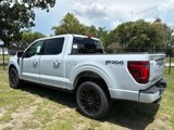 New 2025 Ford F150 Platinum image 5