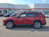Certified 2023 Toyota RAV4 XLE Premium image 4