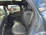 New 2025 Ford Escape ST-Line Elite w/ Tech Pack #1 image 6