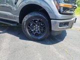 New 2025 Ford F150 XLT image 2