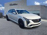 New 2025 Cadillac CT5 Sport w/ LPO, Red Accent Package image 2