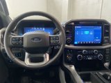 New 2025 Ford F150 XLT w/ Equipment Group 302A MID image 6