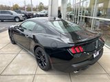 New 2024 Ford Mustang GT Premium image 4