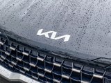 New 2025 Kia Carnival SX image 6
