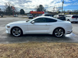 Used 2021 Ford Mustang Premium w/ Equipment Group 201A image 3