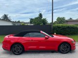 Used 2023 Ford Mustang Premium image 3