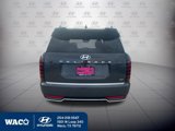 New 2026 Hyundai Palisade Calligraphy image 4
