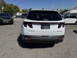 Used 2024 Hyundai Tucson Limited image 5