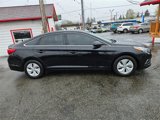 Used 2016 Hyundai Sonata SE image 2