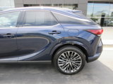 Used 2025 Lexus RX 450h AWD w/ Luxury Package image 4
