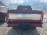 New 2025 Ford F250 4x4 Crew Cab Super Duty image 6