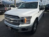 Used 2018 Ford F150 XLT w/ Equipment Group 302A Luxury image 4