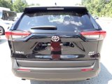 Certified 2025 Toyota RAV4 XLE image 5