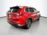 New 2026 Honda CR-V EX-L image 6