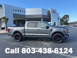 New 2025 Ford F150 Platinum image 2