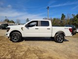 New 2025 Ford F150 STX w/ Equipment Group 200A image 4