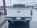 New 2025 Ford F150 XLT image 4