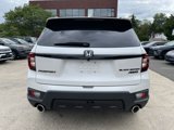 Used 2025 Honda Passport Black Edition image 5