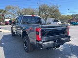 New 2025 Ford F250 Platinum image 5