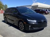 Certified 2025 Honda Odyssey Elite image 5