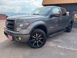 Used 2013 Ford F150 FX4 w/ Luxury Equipment Group image 2