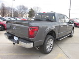 New 2025 Ford F150 XLT w/ Equipment Group 303A High image 6
