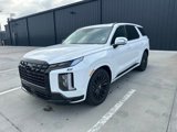 New 2025 Hyundai Palisade Calligraphy image 1