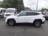 Used 2023 Hyundai Tucson Blue image 4