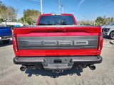 New 2025 Ford F150 Raptor image 4