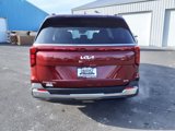 New 2025 Kia Carnival SX image 5