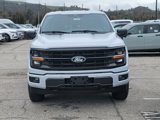 New 2025 Ford F150 XLT w/ Equipment Group 303A High image 2