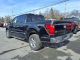 New 2025 Ford F150 XLT image 4