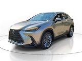 New 2025 Lexus NX 300h AWD w/ Luxury Package image 2