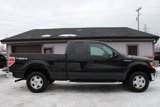 Used 2014 Ford F150 XLT w/ Equipment Group 301A Mid image 3