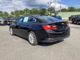 Certified 2024 Chevrolet Malibu LT image 4