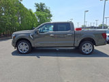 New 2025 Ford F150 Platinum image 4