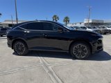 New 2025 Nissan Murano Platinum w/ Cargo Package image 3