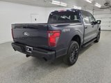New 2025 Ford F150 XLT w/ Equipment Group 302A MID image 4