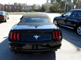 Used 2021 Ford Mustang Premium w/ Equipment Group 201A image 5