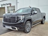 New 2025 GMC Sierra 1500 Denali Ultimate image 3