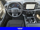 New 2025 Ford F150 XLT image 4