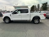 Certified 2022 Ford F150 XLT w/ Equipment Group 302A High image 2
