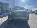 New 2025 Ford F150 XLT w/ Equipment Group 302A MID image 3