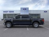 New 2025 Ford F150 XLT w/ Equipment Group 302A MID image 3
